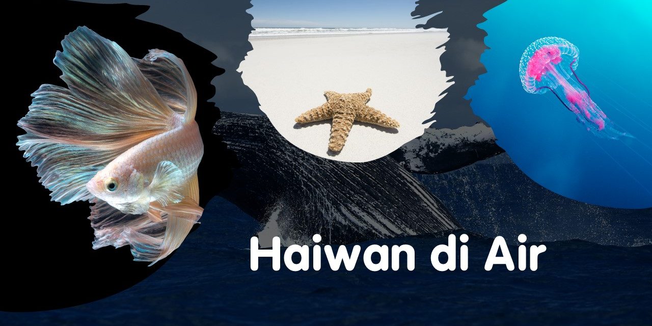 Haiwan di Air