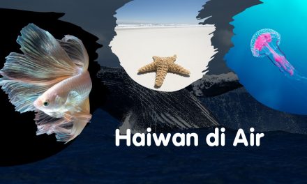 Haiwan di Air