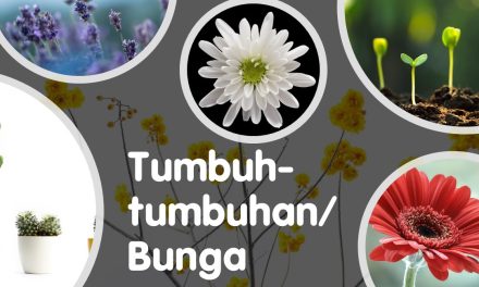 Tumbuh-tumbuhan/Bunga
