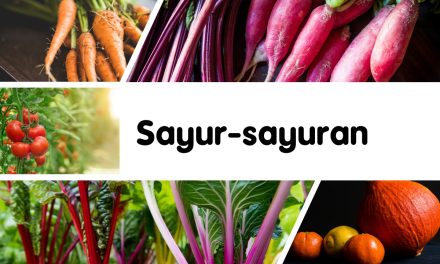 Sayur-sayuran