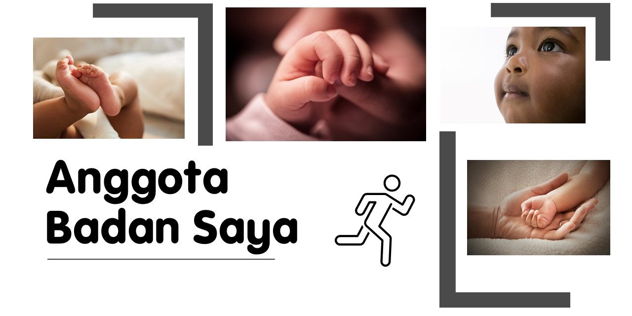 Anggota Badan Saya