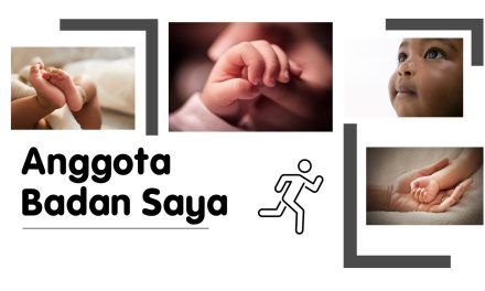 Anggota Badan Saya